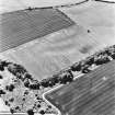 Greenfield, oblique aerial view, taken from the E, centred on the cropmarks of a settlement, and a linear cropmark.