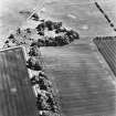 Greenfield, oblique aerial view, taken from the NNW, centred on the cropmarks of a settlement, and a linear cropmark.