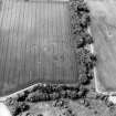 Oblique aerial view centred on the cropmarks of the settlement, taken from the SE.