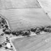 Oblique aerial view centred on the cropmarks of the settlement, taken from the ENE.