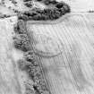 Oblique aerial view centred on the cropmarks of the settlement, taken from the NNW.