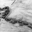 Oblique aerial view centred on the cropmarks of the settlement, taken from the NE.