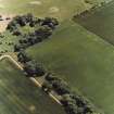 Greenfield, oblique aerial view, taken from the N, centred on the cropmarks of a settlement, and showing a linear cropmark in the bottom left-hand corner of the photograph.