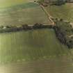 Greenfield, oblique aerial view, taken from the WSW, centred on the cropmarks of a settlement, and a linear cropmark.