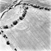 Aytonlaw, oblique aerial view taken from the NE, centred on the cropmarks of a palisaded enclosure, a fort and possible souterrain.  A second cropmark of a fort is visible to the immediate W.  A linear cropmark is also visible in the top right hand corner of the photograph.