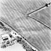 Catch a Penny, oblique aerial view taken from the NE, centred on the cropmarks of a settlement.  Other cropmarks are visible which extend to the N and W of this settlement.  In top right hand corner  of the photograph linear cropmarks and the cropmark of a settlement are visible.