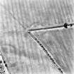 Catch a Penny, oblique aerial view taken from the N, centred on the cropmarks of a settlement.  Other cropmarks are visible which extend to the N and W of this settlement.  In the centre of the photograph linear cropmarks and the cropmark of a settlement are visible.