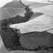 Linthill, fort and linear cropmarks: oblique air photograph of cropmarks.
