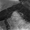 Linthill, fort and linear cropmarks: oblique air photograph of cropmarks.
