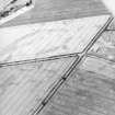 Oblique aerial view centred on the cropmarks of the barrow and ring-ditch, taken from the WSW.