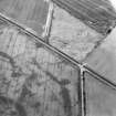 Oblique aerial view centred on the cropmarks of the barrow and frost wedges, taken from the NNW.