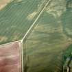 Oblique aerial view centred on the cropmarks of the enclosure and unenclosed settlement with the cropmarks of the rig adjacent, taken from the ENE.