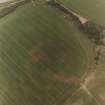 Innermessan, oblique aerial view, taken from the S, showing the cropmarks of a settlement, round houses and a pair of linear cropmarks.