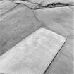 Carlton Mains, oblique aerial view, taken from the NE, centred on the cropmark of an enclosure.