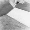 Oblique aerial view of Carlton Mains centred on the cropmarks of an enclosure, taken from the SE.