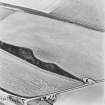 Girvan Mains, oblique aerial view, taken from the W, centred on the cropmark of a fort.