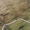 Oblique aerial view centred on the remains of the farmstead, field-system, rig and small cairns, taken from the SW.