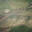 Oblique aerial view centred on the remains of the motte with possible motte adjacent, taken from the WSW.