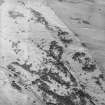 Oblique aerial view centred on the remains of the fort, taken from the WSW.