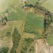 Oblique aerial view centred on the remains of the homestead, taken from the W.