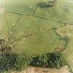 Oblique aerial view centred on the remains of the farmstead, field-system and rig with possible homestead, fort and rig adjacent, taken from the N.