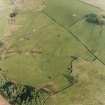 Oblique aerial view centred on the remains of the farmstead, field-system and rig with possible homestead and rig adjacent, taken from the NW.