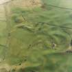 Oblique aerial view centred on the remains of the motte, taken from the NE.