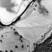 Oblique aerial view of Drumlanrig centred on the cropmarks of a Roman temporary camp with estate cottages, taken from the WSW.