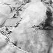 Oblique aerial view centred on the remains of the homestead moat, taken from the SE.