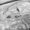 Holywood Abbey, oblique aerial view, taken from the SW, centred on the cropmarks to the SE of the Abbey, and showing a rectilinear enclosure and linear cropmarks (Dalawoodie) in the bottom half of the photograph.