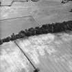 Conhuith Plantation, oblique aerial view, taken from the WSW, centred on the cropmarks of two settlement enclosures.
