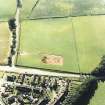 Oblique aerial view of Holywood centred on the excavation of a cursus and ring-ditch, taken from the ENE.