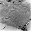 Bankhead, Dalswinton, oblique aerial view, taken from the WNW, centred on the cropmarks of Roman Forts.