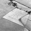 Oblique aerial view of Dalswinton, Bankhead, taken from the N, centred on the cropmarks of Roman forts.  An enclosure, situated to the SE of the forts, is visible in the top left-hand side of the photograph.