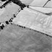 Oblique aerial view of Dalswinton, Bankhead, taken from the ESE, centred on the cropmarks of Roman forts.  An enclosure, situated to the SE of the forts, is visible in the centre left of the photograph.