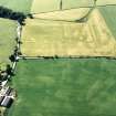 Oblique aerial view of Dalswinton, Bankhead, taken from the SE, centred on the cropmarks of Roman forts.  An enclosure, situated to the SE, is visible in the bottom left-hand side of the photograph.