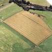 Oblique aerial view centred on the cropmarks of the Roman Temporary Camp and pit-defined cursus, taken from the NNW.
