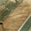 Oblique aerial view.