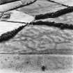 Holywood, oblique aerial view, taken from the NE, centred on rig and linear cropmarks.