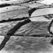 Holywood, oblique aerial view, taken from the ENE, centred on the cropmarks of a cursus monument and linear cropmarks.