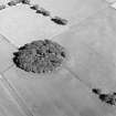 Oblique aerial view of Ward Law, taken from the W, centred on the cropmarks of a Roman fort and 'Roman Signal Station'.  Linear cropmarks and pits, situated SSE of the fort, are visible in the top right-hand corner of the photograph.