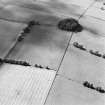 Oblique aerial view of Ward Law, taken from the SE, centred on linear cropmarks and pits.  The cropmarks of a Roman Fort and 'Roman Signal Station', situated to the NNW of the linear cropmarks, are visible in the top right of centre of the photograph.