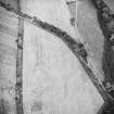 Oblique aerial view centred on the cropmarks of the settlements, taken from the NE.