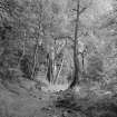 Killiecrankie Viaduct.
Detail of arch from West.