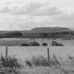 Winchburgh shale bing. General view from N.