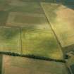 Oblique aerial photograph, centred on the cropmarks of an enclosure.