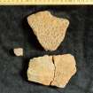 Diagnostic sherds recovered from rabbit scrapes into the mound during field survey 1994-6