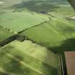 Oblique aerial view of the cropmarks of East Renton fort.