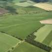 Oblique aerial view of the cropmarks of East Reston fort and Aytonlaw enclosure and linear cropmarks.