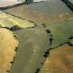 Oblique aerial view of the cropmarks of Stonefield Hill enclosure.